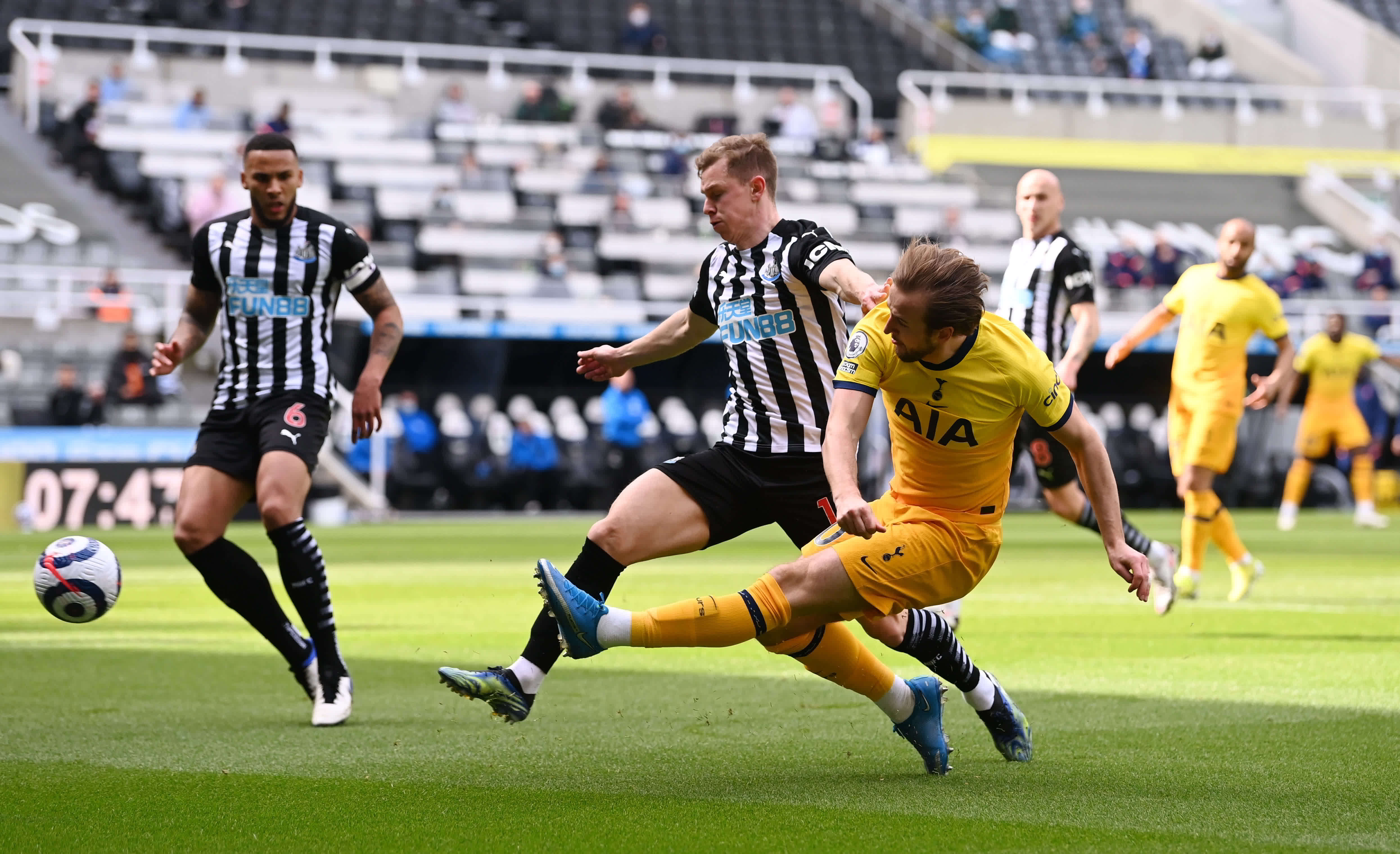 毛球锦标赛 毛球锦标赛